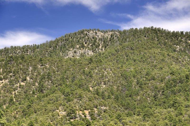 サンタフェ Ponderosa Estateヴィラ エクステリア 写真